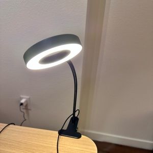 Clip on reading light